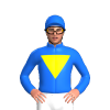 Jockey Silk