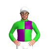 Jockey Silk