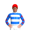 Jockey Silk