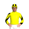 Jockey Silk