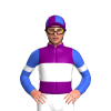Jockey Silk
