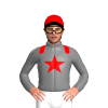Jockey Silk