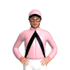 Jockey Silk