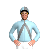 Jockey Silk