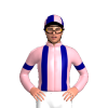 Jockey Silk