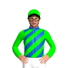 Jockey Silk