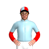 Jockey Silk