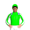 Jockey Silk