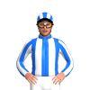 Jockey Silk