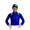 Jockey Silk