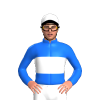 Jockey Silk