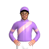 Jockey Silk