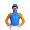 Jockey Silk