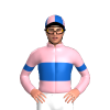 Jockey Silk