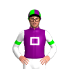 Jockey Silk
