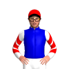 Jockey Silk