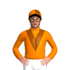 Jockey Silk