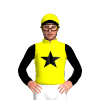 Jockey Silk