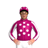 Jockey Silk