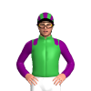 Jockey Silk