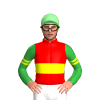 Jockey Silk