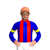 Jockey Silk