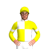 Jockey Silk