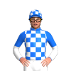 Jockey Silk