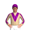 Jockey Silk