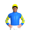 Jockey Silk