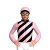 Jockey Silk