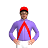 Jockey Silk