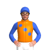 Jockey Silk