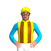 Jockey Silk