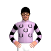 Jockey Silk