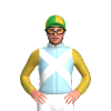 Jockey Silk