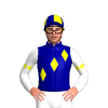 Jockey Silk