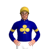 Jockey Silk