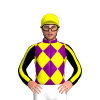 Jockey Silk