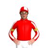 Jockey Silk