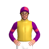 Jockey Silk