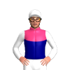 Jockey Silk