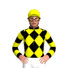 Jockey Silk