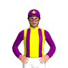 Jockey Silk