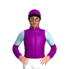 Jockey Silk