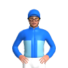 Jockey Silk