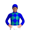 Jockey Silk