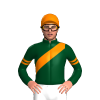 Jockey Silk