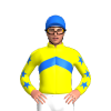 Jockey Silk