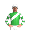 Jockey Silk